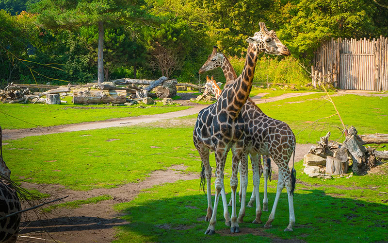 Zoo Leipzig