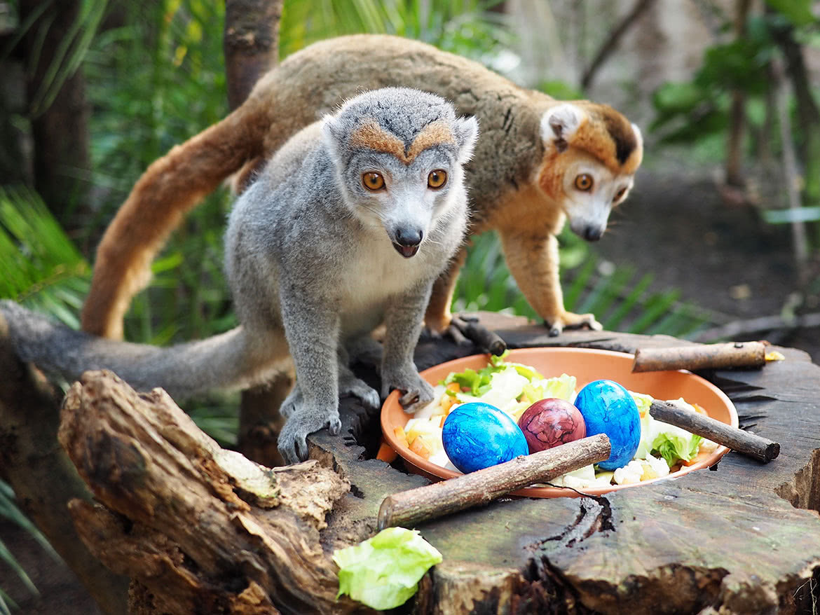 Osterspektakel im Zoo Leipzig