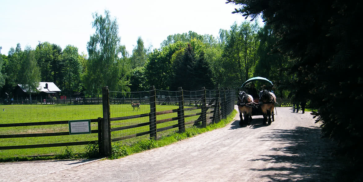 Wildpark Leipzig